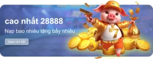 DR88 – Nhà cái cá cược trực tuyến uy tín hàng đầu Việt Nam