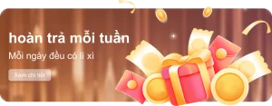 DR88 – Nhà cái cá cược trực tuyến uy tín hàng đầu Việt Nam